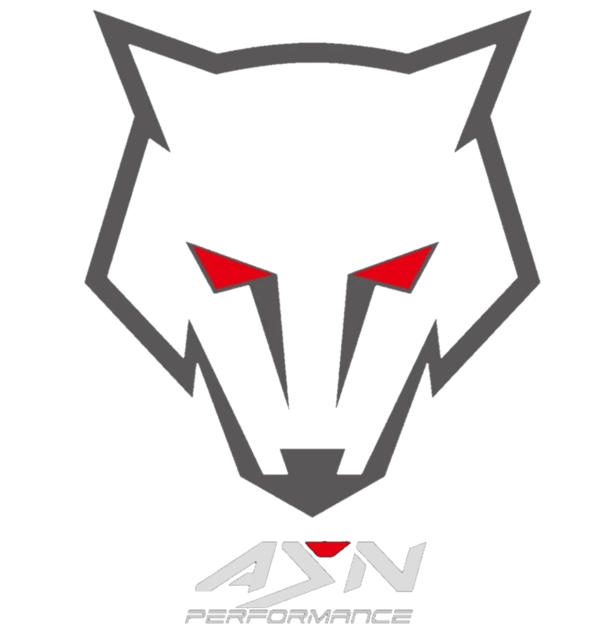 Being a partner with ASN Performance